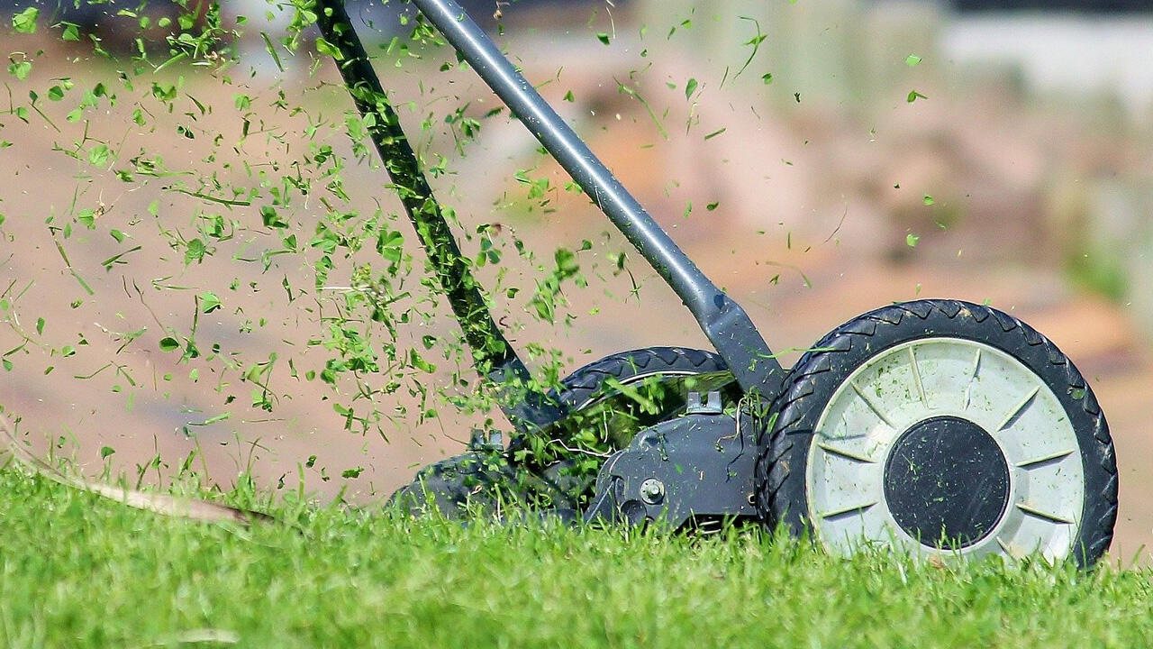 Der richtige Zeitpunkt für den ersten Schnitt: Wenn die Halme acht Zentimeter lang sind. Der richtige Zeitpunkt für den ersten Schnitt: Wenn die Halme acht Zentimeter lang sind.